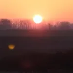 Malownicze * Owieczki